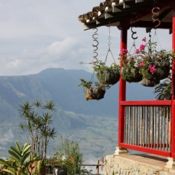 Colombian Finca